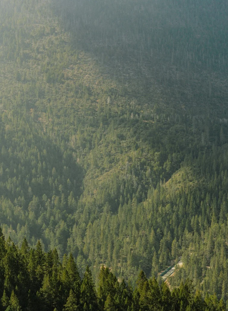 Rentkit Directory & Listing Bootstrap 5 Theme