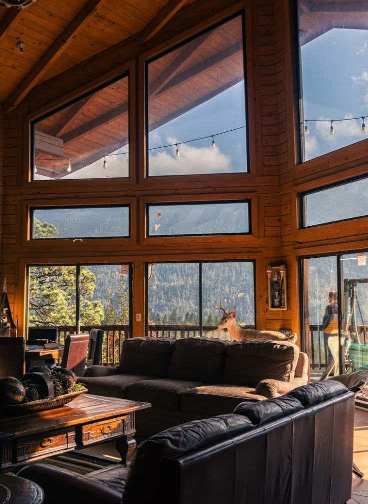 Rentkit Directory & Listing Bootstrap 5 Theme